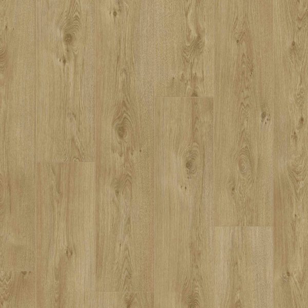 Hoomline Marche Royal Aqua V2 583