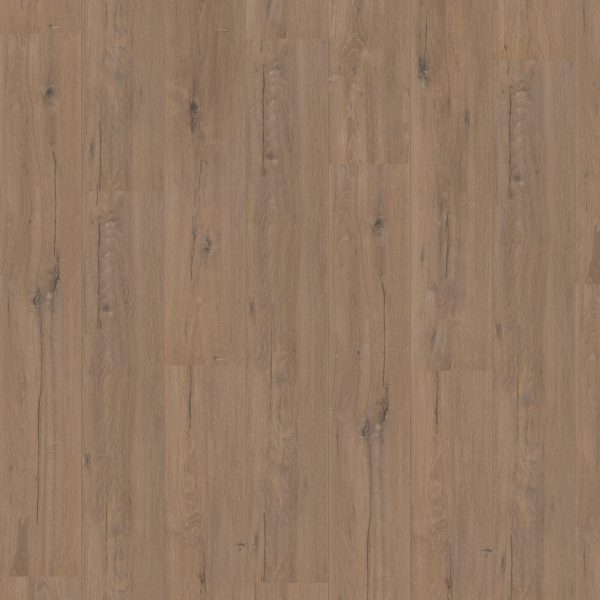 Hoomline Royal V2 Toscane 902