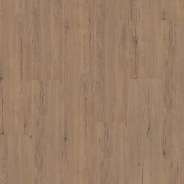 Hoomline Royal XL Karwendel 902