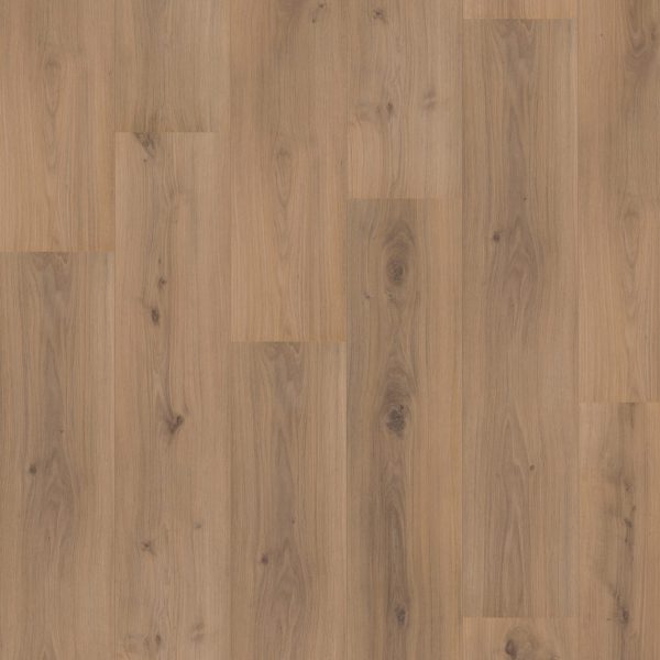 Hoomline Royal XL Jungfrau 4936