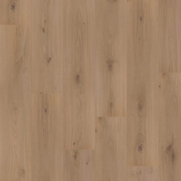 Hoomline Royal XL Atlas 4937