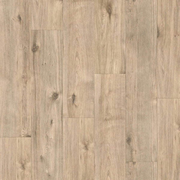 Elite XL V4 Aquaprotect Maas 60969