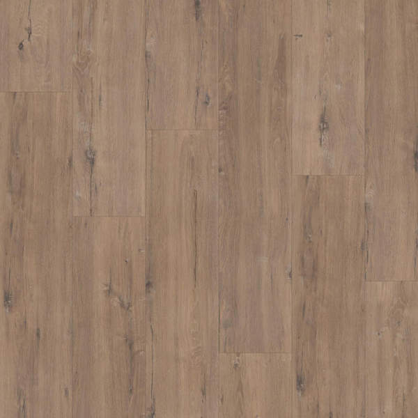 Elite XL V4 Aquaprotect Schelde 60902