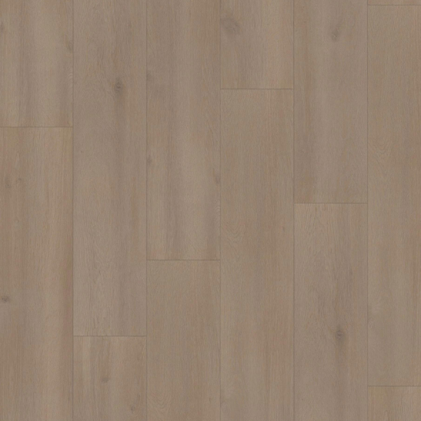 Elite XL V4 Aquaprotect Spaarne 6081