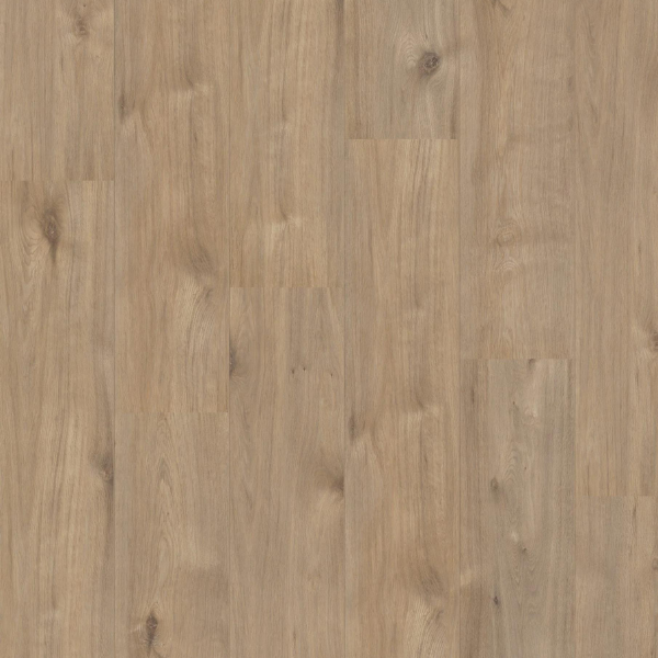 Royal XL V2 Aquaprotect Laminaat Holterberg 969