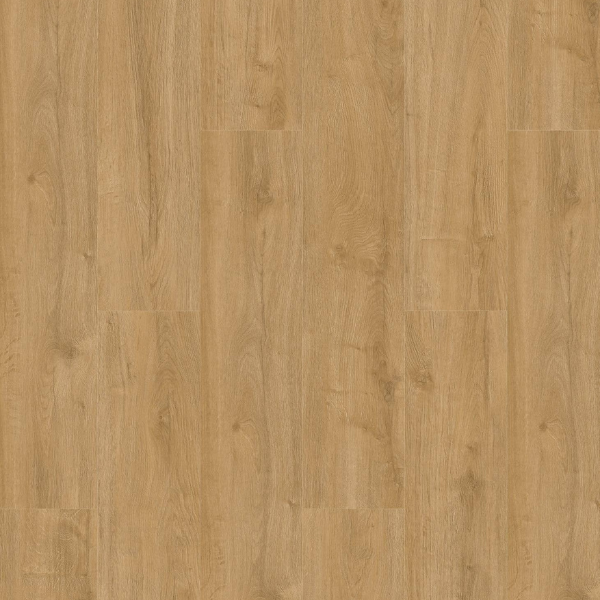 Gelasta Oakland Naturel 6101