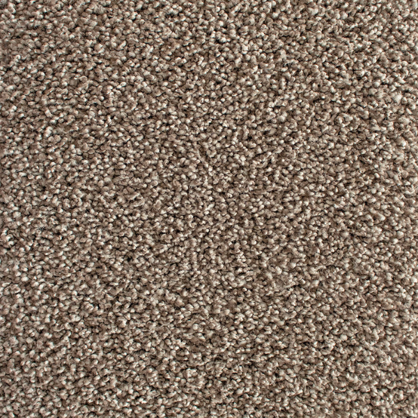 Interfloor Active SDN Tapijt 669