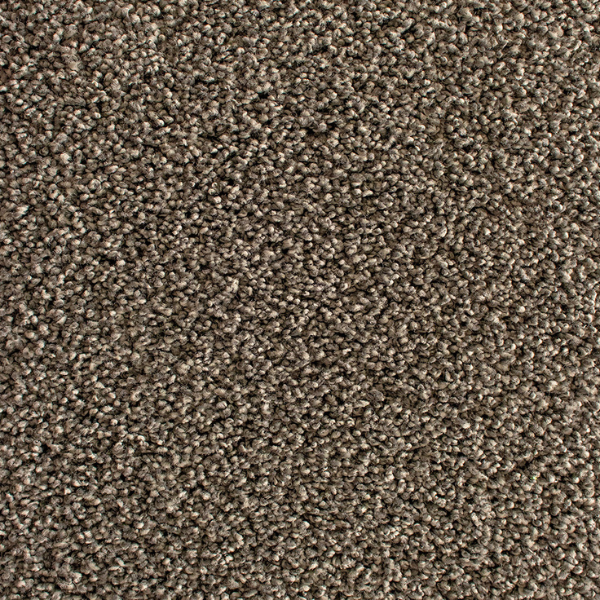 Interfloor Active SDN Tapijt 670