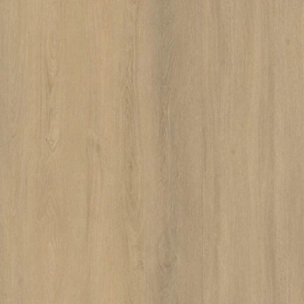 Sutton Dryback Warm Beige