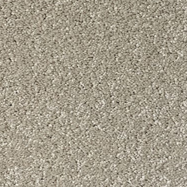 Interfloor Montova SDN Tapijt 245