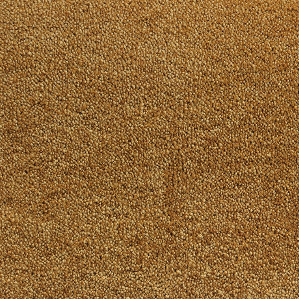 Interfloor Velluto Tapijt 405