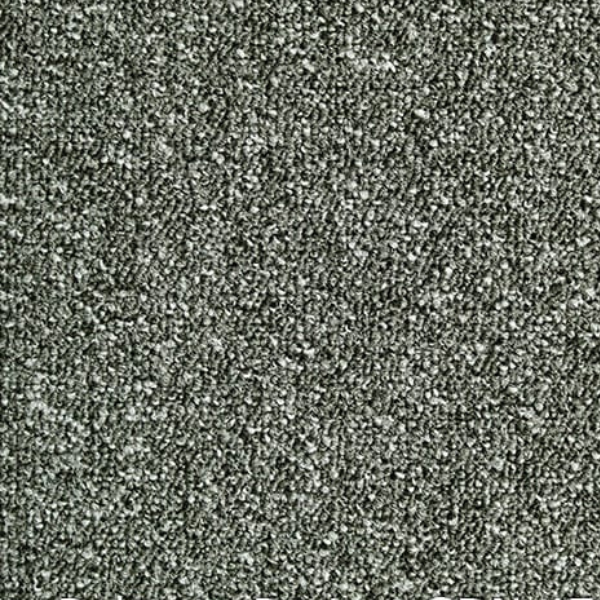 Interfloor Robusta Project SDN Tapijt 474