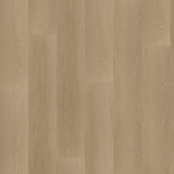 Hoomline Ambassador 55 Dryback PVC Georgia