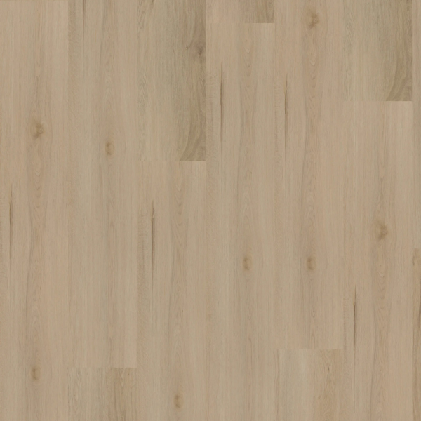 Hoomline Ambassador 55 Dryback PVC Maryland