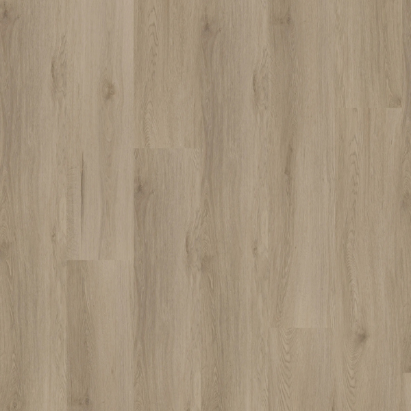 Hoomline Ambassador 55 Dryback PVC Missouri