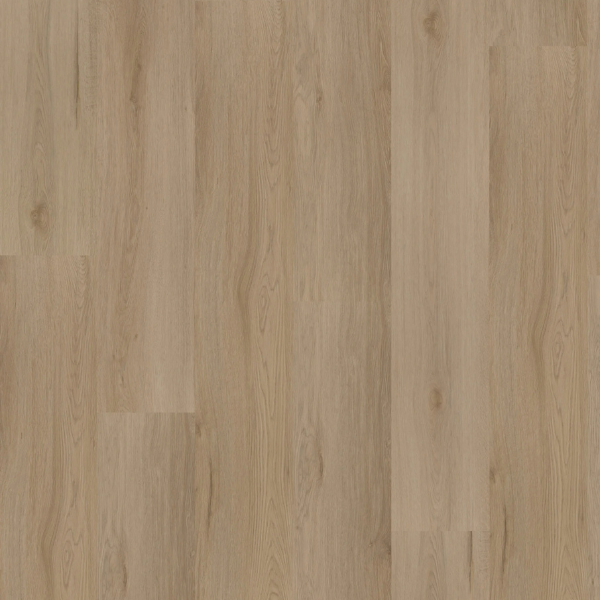 Hoomline Ambassador 55 Dryback PVC Montana