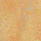 Marmoleum Marbled Vivaci Sunny Day 3411