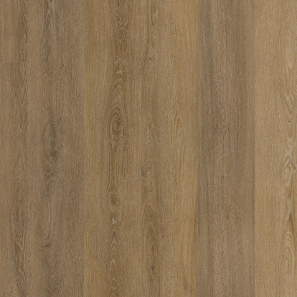 Sutton Dryback Light Brown